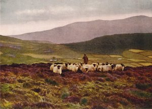 V pohoří Mourne, hrabství Down (barevné foto) od English Photographer