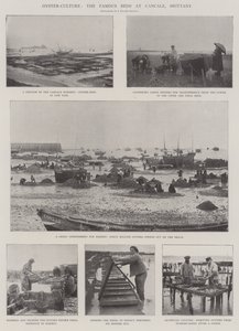 Oyster-Culture, slavné postele v Cancale, Bretaň