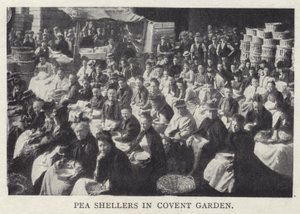 Skořápky hrachu v Covent Garden v Londýně od English Photographer