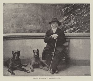 Princ Bismarck ve Friedrichsruhu od English Photographer