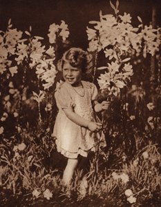 Princezna Alžběta v zahradě od English Photographer