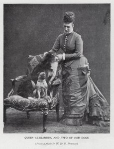 Královna Alexandra a dva její psi (černobílá fotografie) od English Photographer