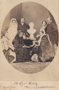 Královna Viktorie a princ Albert od English Photographer