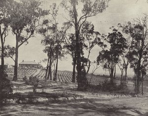 Scéna na Gembrook Road, Victoria od English Photographer