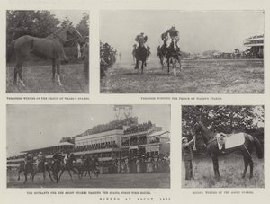 Scény v Ascotu, 1901 od English Photographer