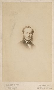 Sir John Tenniel, umělec