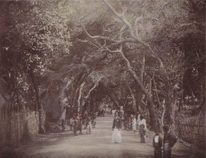 Skinners Road, Colombo (barevné fotografie) od English Photographer