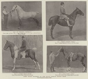 Někteří vítězové na Royal Dublin Horse Show od English Photographer
