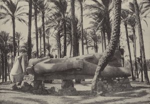 Socha Ramesese II., ležící ve městě, o kterém Jeremiáš řekl, že by mělo být bez obyvatel od English Photographer