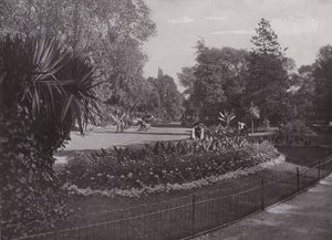 Subtropické zahrady, Battersea Park od English Photographer