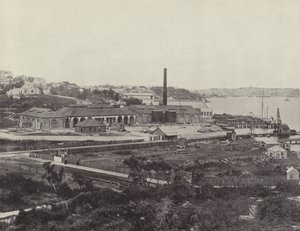 Sunlight Soap Companys Works, poblíž Sydney od English Photographer