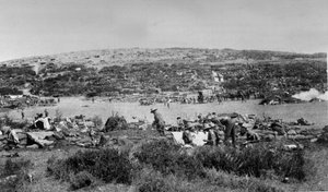 Suvla Bay, Gallipoli na Chocolate Hill, kolem roku 1915 od English Photographer