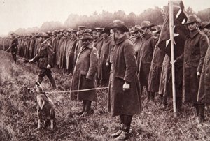 Recenze Anzac na Salisbury Plain: australský maskot, ilustrace z The Illustrated War News, 27. září 1916 (sépiová fotografie) od English Photographer