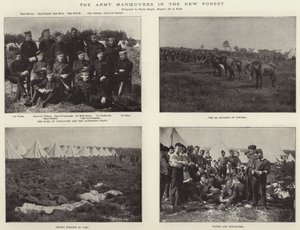 Armádní manévry v New Forest