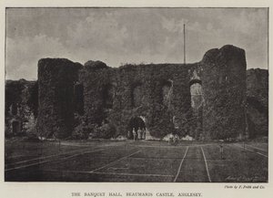 Hodovní síň, hrad Beaumaris, Anglesey od English Photographer