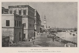 Pláž na Zanzibaru od English Photographer