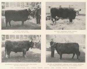 Birmingham Fat Stock Show, Royal a další vítězové cen