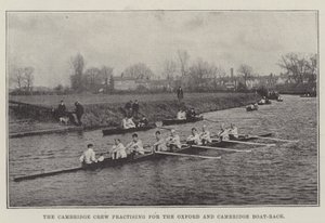 Cambridge Crew cvičí na Oxford a Cambridge Boat-Race od English Photographer