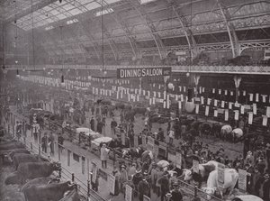 The Cattle Show, Royal Agricultural Hall od English Photographer