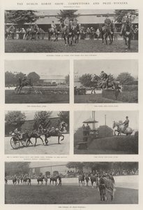 Dublin Horse Show, soutěžící a vítězové