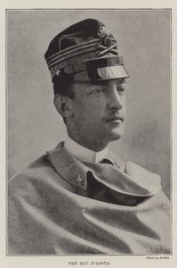 Vévoda d