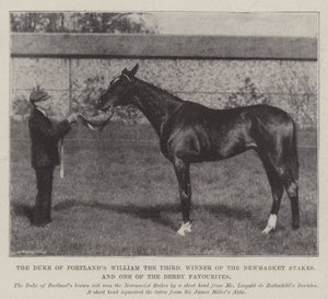 Vévoda z Portlands William Třetí, vítěz Newmarket Stakes a jeden z favoritů Derby od English Photographer