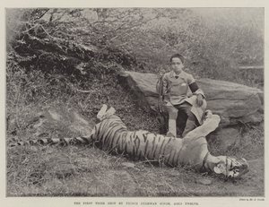 První tygr zastřelený princem Bughwanem Singhem, ve věku dvanáct od English Photographer