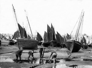 Rybářská flotila v St Ives Harbour, c.1880-99 od English Photographer