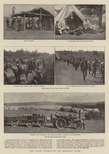 Velké manévry na Salisbury Plain