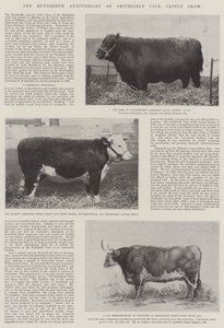 Sté výročí Smithfield Club Cattle Show