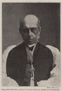 Pravý zesnulý reverend Anthony Wilson Thorold, biskup z Winchesteru od English Photographer