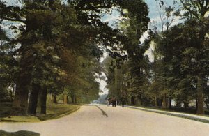 Long Avenue, Coventry od English Photographer