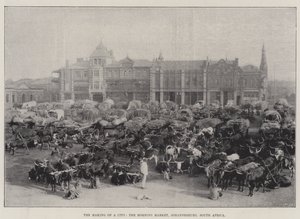 The Making of a City, Ranní trh, Johannesburg, Jižní Afrika