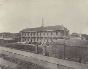 Mincovna, Sydney od English Photographer