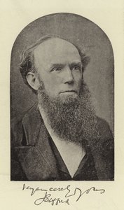 Rev J Clifford, DD od English Photographer