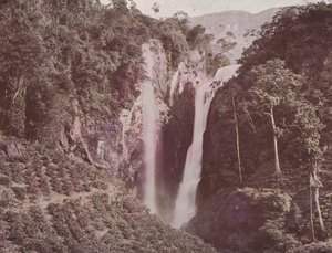 Twin Falls (pěstování kávy v popředí), Cejlon (barevné foto) od English Photographer