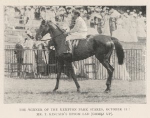 Vítěz Kempton Park Stakes, 11. října, pan T Kincaids Epsom Lad (Gomez up) od English Photographer