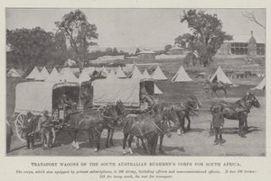 Transportní vozy South Australian Bushmens Corps pro Jižní Afriku od English Photographer