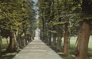 Trinity College, Avenue od English Photographer