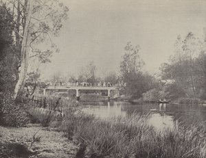 Undercliffe Bridge, Cooks River od English Photographer