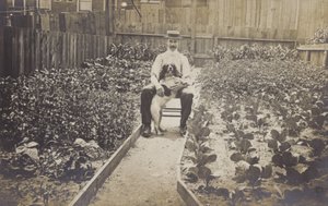 Zeleninová zahrada (čb fotografie) od English Photographer