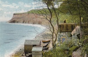 Pohled přes úpatí Shanklin Chine od English Photographer
