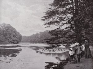 Wanstead Park od English Photographer