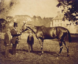 Wild Dayrell, vítěz Derby v roce 1856 od English Photographer