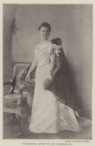 Wilhelmina, královna Nizozemska od English Photographer