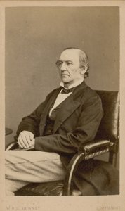 William Ewart Gladstone od English Photographer