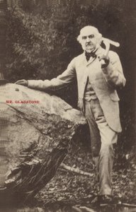 William Ewart Gladstone od English Photographer
