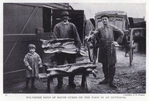 Wiltshire strany slaniny sušené na farmě v přístavku (černobílá fotografie) od English Photographer