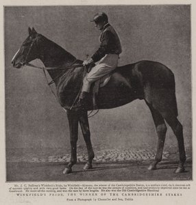 Winkfields Pride, vítěz Cambridgeshire Stakes od English Photographer
