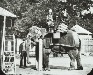Zoologická zahrada, Regents Park: slon s dospělými a dětmi na projížďce, London Zoo, 1894 od English Photographer